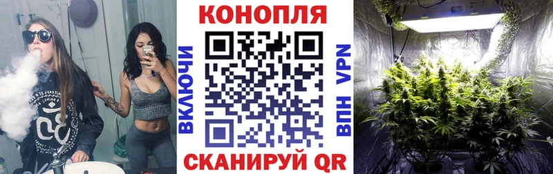 ссылка на мегу ONION  Чайковский  Марихуана конопля  как найти  
